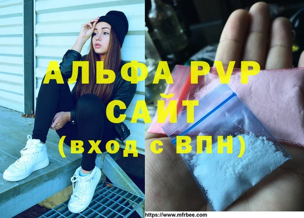 PSILOCYBIN Строитель