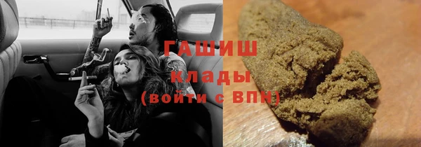 гидра Няндома