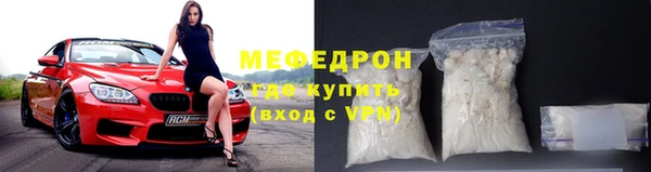 гидра Няндома