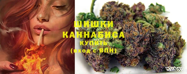 гидра Няндома