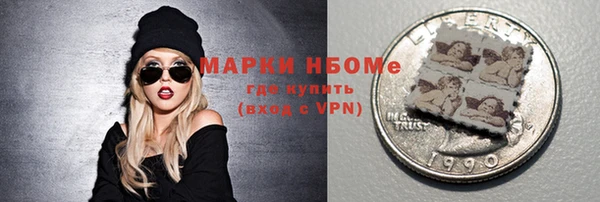стаф Новодвинск