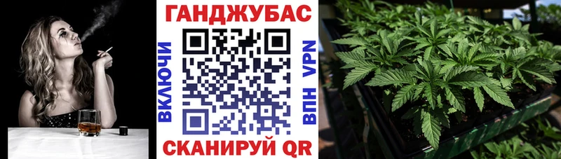 Шишки марихуана ГИДРОПОН  OMG   Нижний Новгород 
